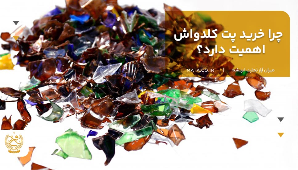 چرا خرید پت کلدواش اهمیت دارد؟