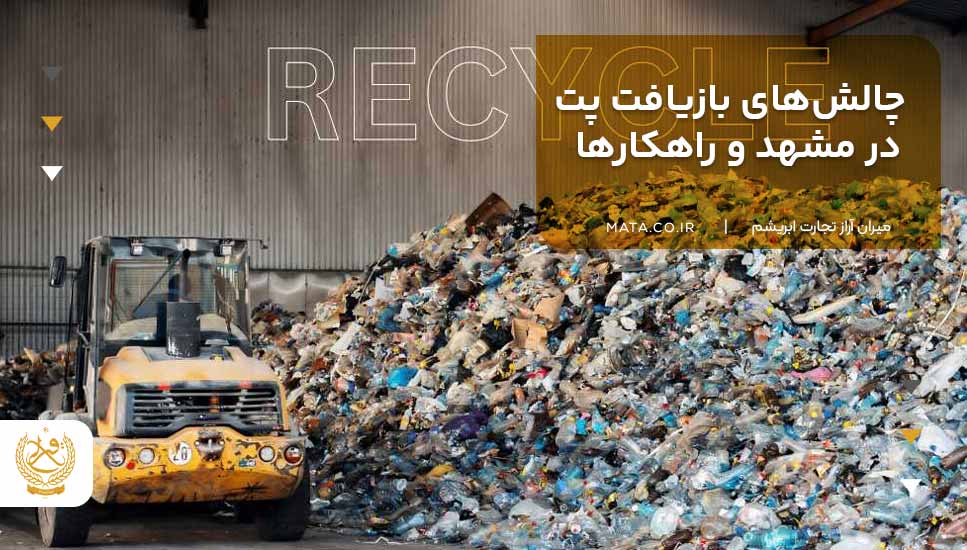 چالشهای بازیافت پت در مشهد و راهکارها