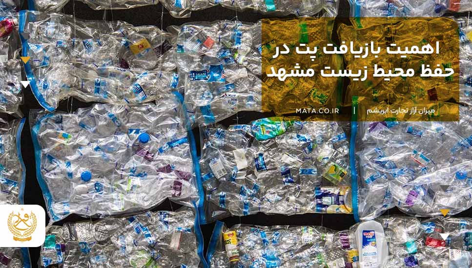 اهمیت بازیافت پت در حفظ محیط زیست مشهد