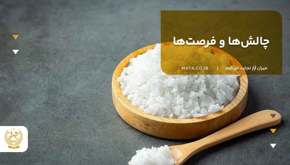 چالشها و فرصتها