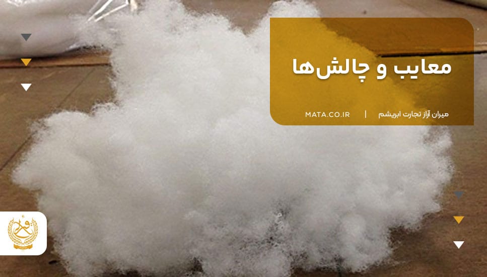 معایب و چالشها